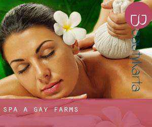 Spa à Gay Farms