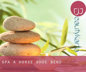 Spa à Horse Shoe Bend