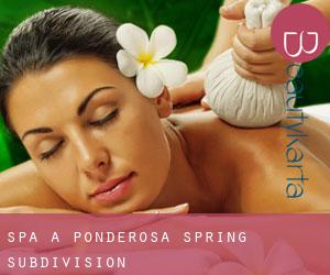 Spa à Ponderosa Spring Subdivision