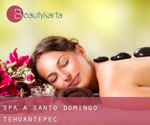 Spa à Santo Domingo Tehuantepec