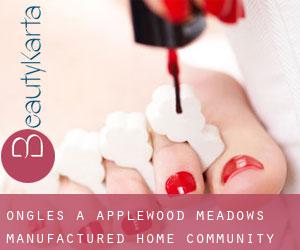 Ongles à Applewood Meadows Manufactured Home Community