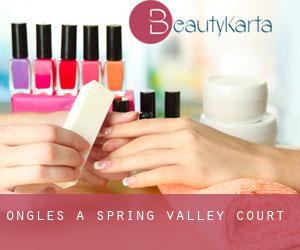 Ongles à Spring Valley Court