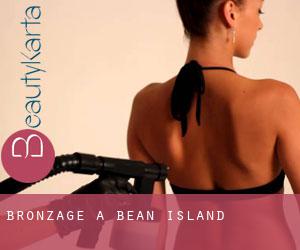 Bronzage à Bean Island