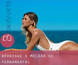 Bronzage à Melgar de Fernamental