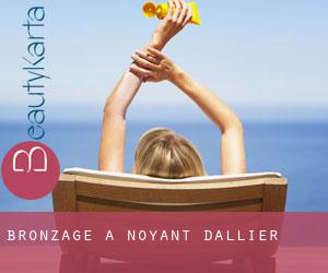 Bronzage à Noyant-d'Allier