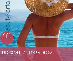 Bronzage à Stora Höga