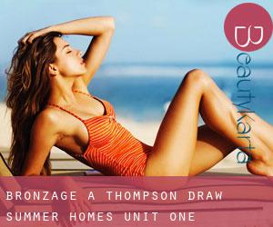 Bronzage à Thompson Draw Summer Homes Unit One