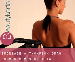 Bronzage à Thompson Draw Summer Homes Unit Two
