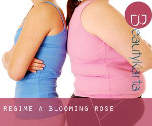 Régime à Blooming Rose